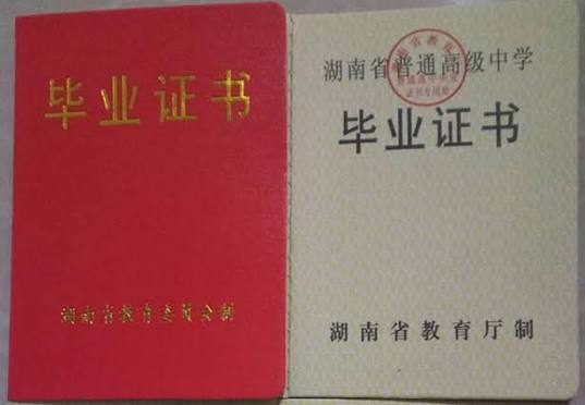 案例展示 4